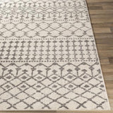Surya Chester CHE-2319 7'10" x 10'2" Rug