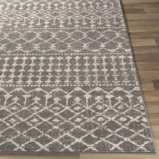 Surya Chester CHE-2321 Charcoal Light Beige 5'3" x 7'3" Rug