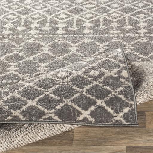 Surya Chester CHE-2321 5'3" x 7'3" Rug