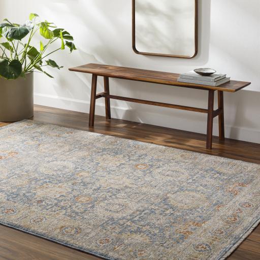 Surya Chicago CHG-2310 6'7" Round Rug