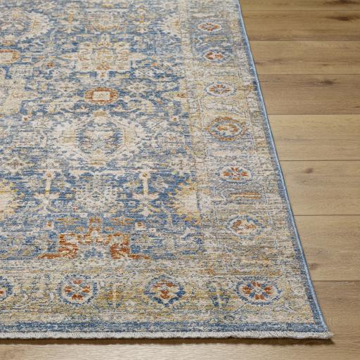 Surya Chicago CHG-2310 6'7" Round Rug