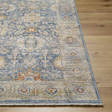 Surya Chicago CHG-2310 6'7" Round Rug
