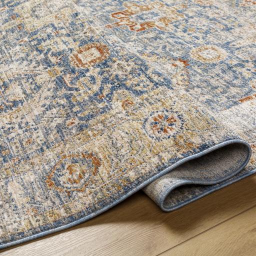 Surya Chicago CHG-2310 6'7" Round Rug