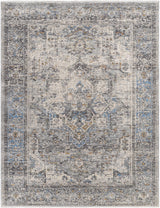 Surya Chicago CHG-2312 6'7" Round Rug