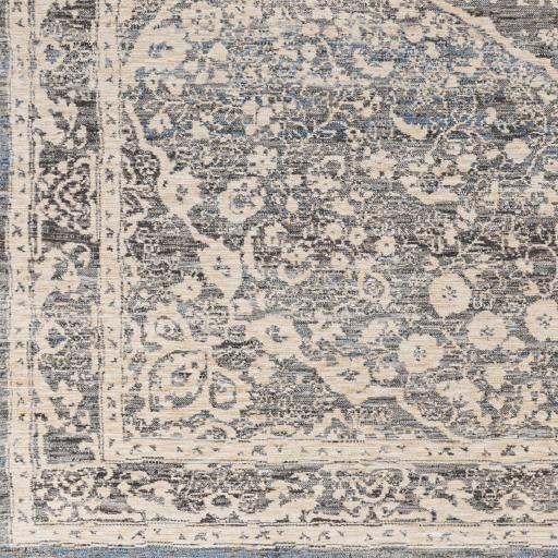 Surya Chicago CHG-2315 2'10" x 11'11" Rug