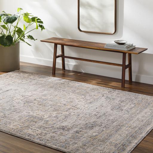 Surya Chicago CHG-2317 6'7" Round Rug