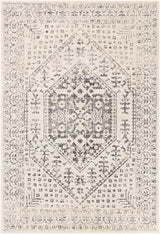 Surya City CIT-2381 2' x 3' Rug