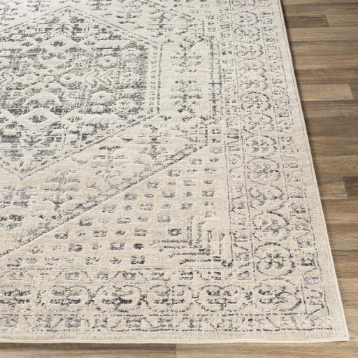 Surya City CIT-2381 2' x 3' Rug