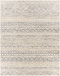 Surya City Light CYL-2311 8'10" x 12' Rug