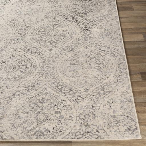 Surya City Light CYL-2318 Beige Black 8'10" x 12' Rug