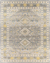 Surya City Light CYL-2320 8'10" x 12' Rug