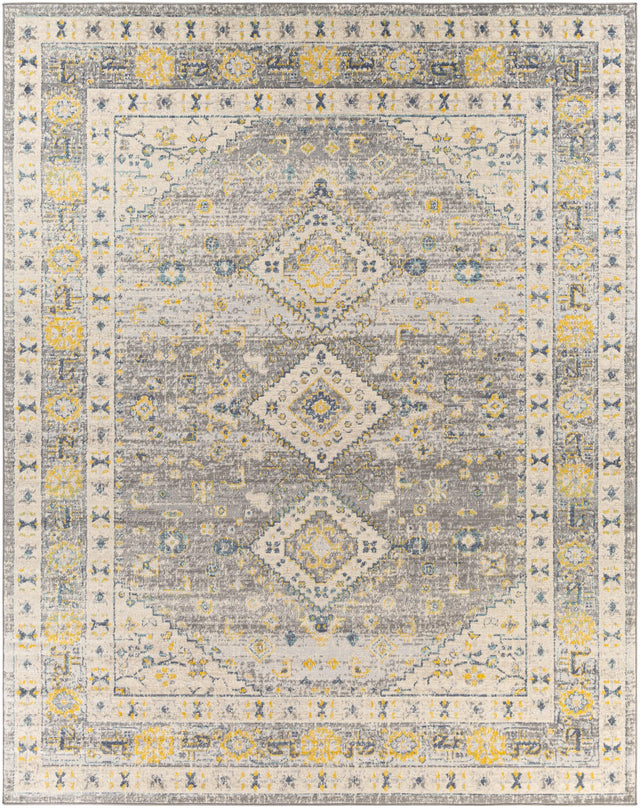 Surya City Light CYL-2320 8'10" x 12' Rug