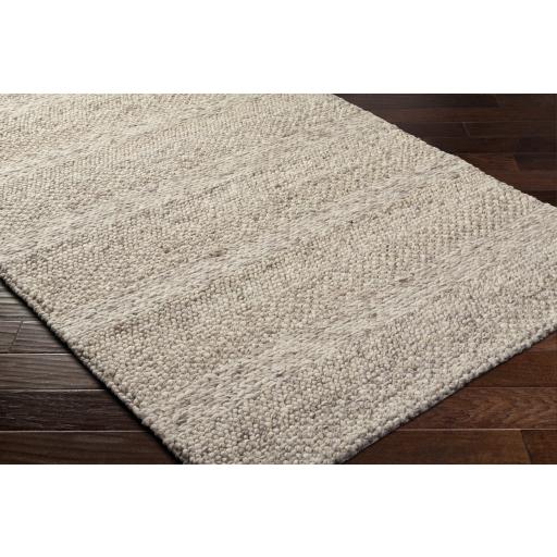 Surya Cloud 19 CLD-2300 Beige Light Brown 2' x 3' Rug