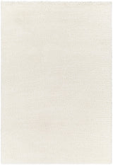 Surya Cloudy Shag CDG-2302 5'3" x 7' Rug