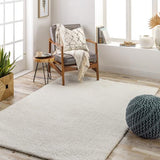 Surya Cloudy Shag CDG-2302 5'3" x 7' Rug