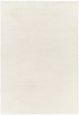 Surya Cloudy Shag CDG-2302 6'7" x 9' Rug