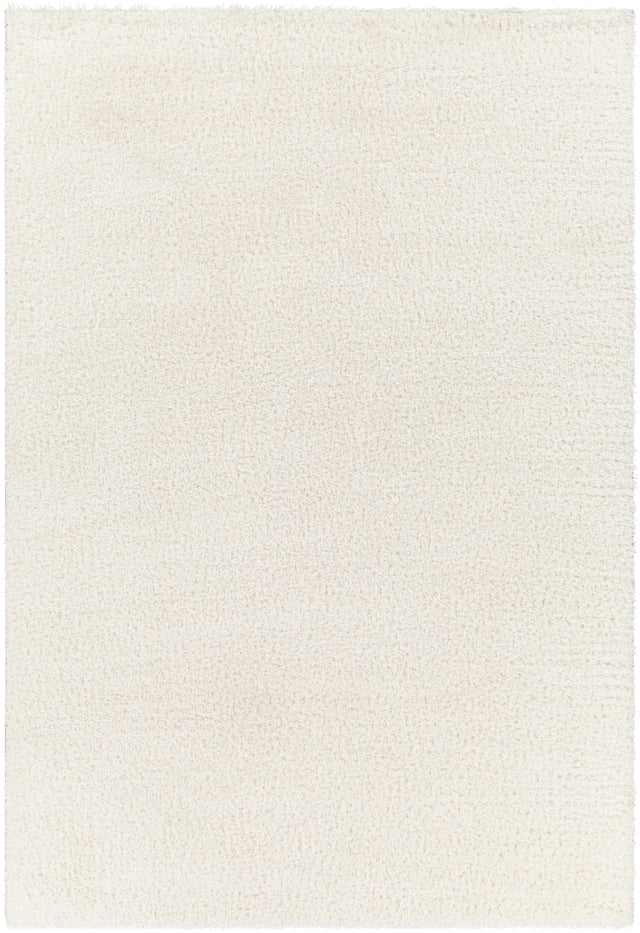 Surya Cloudy Shag CDG-2302 6'7" x 9' Rug