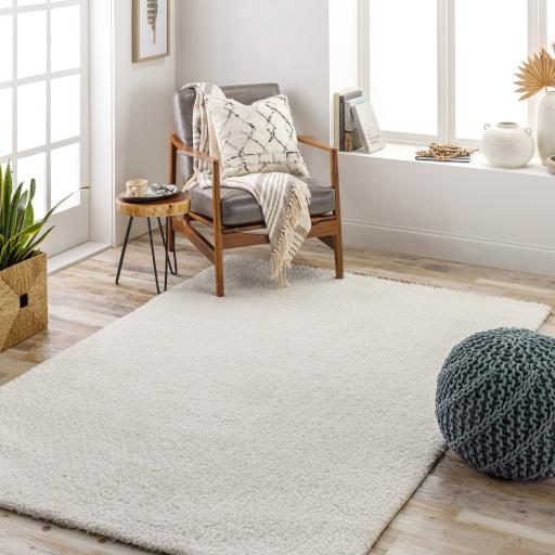 Surya Cloudy Shag CDG-2302 6'7" x 9' Rug