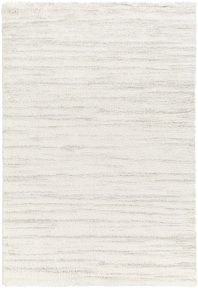 Surya Cloudy Shag CDG-2307 5'3" x 7' Rug
