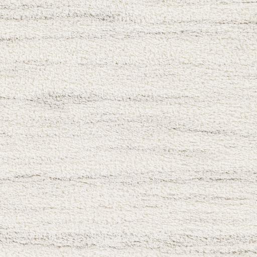Surya Cloudy Shag CDG-2307 5'3" x 7' Rug