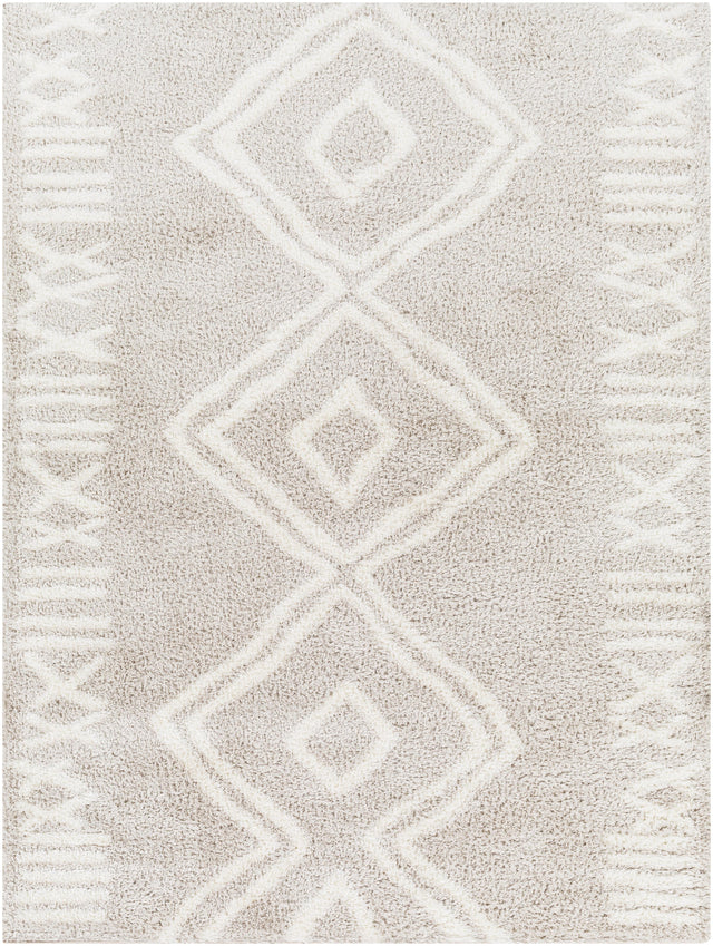 Surya Cloudy Shag CDG-2311 6'7" x 9' Rug