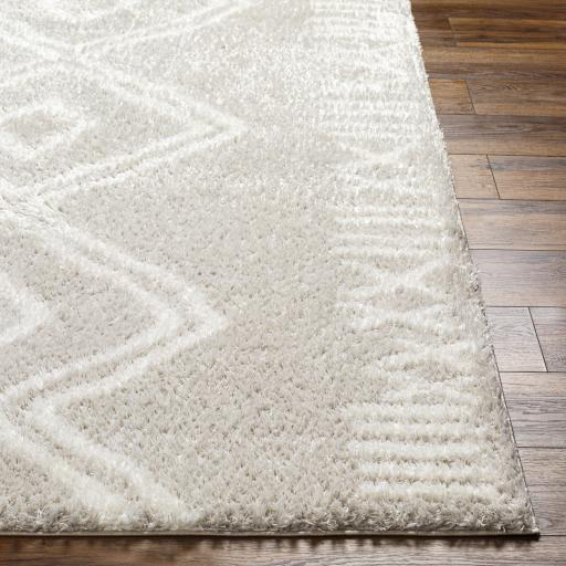 Surya Cloudy Shag CDG-2311 6'7" x 9' Rug
