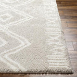Surya Cloudy Shag CDG-2311 6'7" x 9' Rug