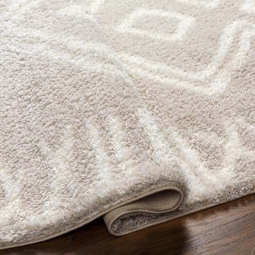 Surya Cloudy Shag CDG-2311 6'7" x 9' Rug