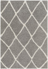 Surya Cloudy Shag CDG-2313 5'3" x 7' Rug