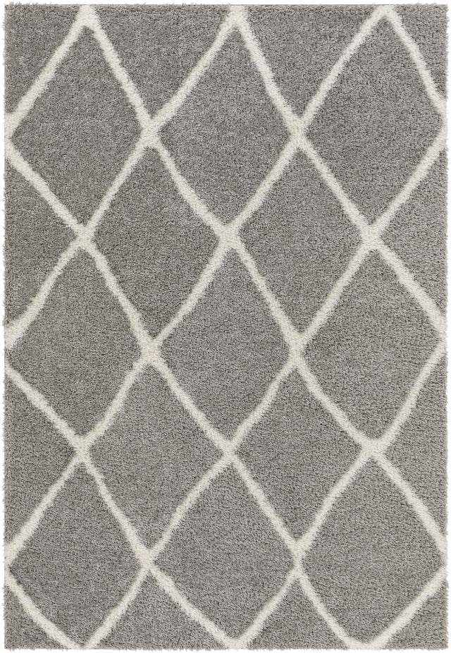 Surya Cloudy Shag CDG-2313 5'3" x 7' Rug