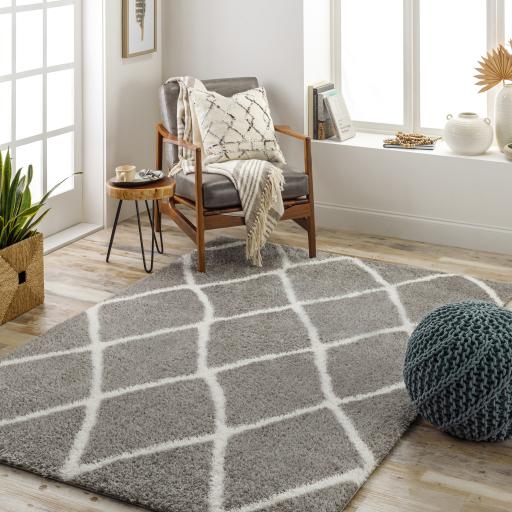 Surya Cloudy Shag CDG-2313 5'3" x 7' Rug