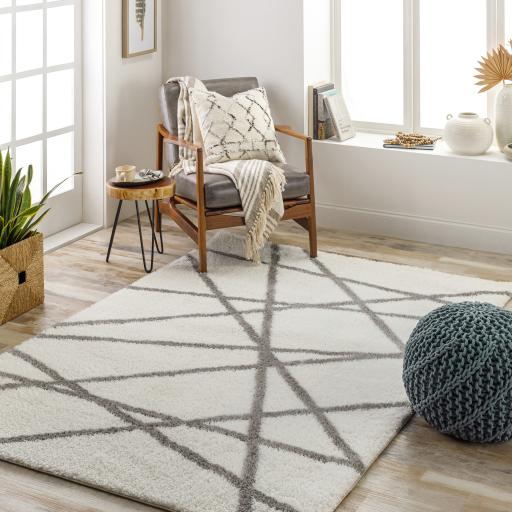 Surya Cloudy Shag CDG-2316 6'7" x 9' Rug