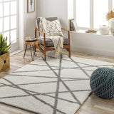 Surya Cloudy Shag CDG-2316 6'7" x 9' Rug