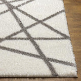 Surya Cloudy Shag CDG-2316 6'7" x 9' Rug