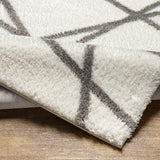 Surya Cloudy Shag CDG-2316 6'7" x 9' Rug