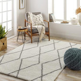 Surya Cloudy Shag CDG-2317 5'3" x 7' Rug