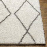 Surya Cloudy Shag CDG-2317 5'3" x 7' Rug