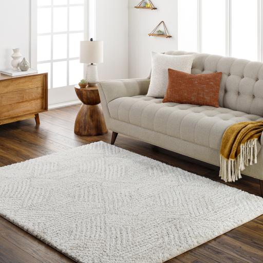 Surya Cloudy Shag CDG-2319 5'3" x 7' Rug