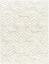 Surya Cloudy Shag CDG-2319 5'3" x 7' Rug