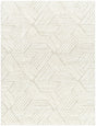Surya Cloudy Shag CDG-2319 7'10" x 10' Rug
