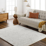 Surya Cloudy Shag CDG-2319 7'10" x 10' Rug