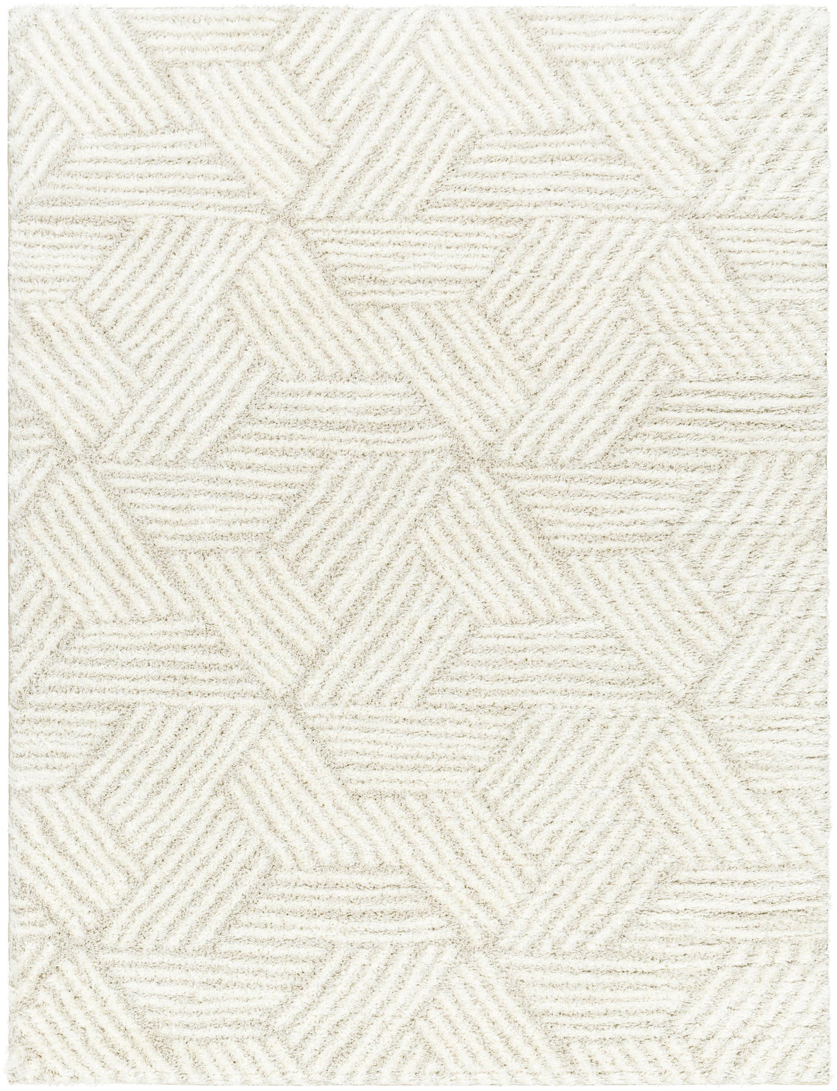 Surya Cloudy Shag CDG-2319 7'10" x 10' Rug