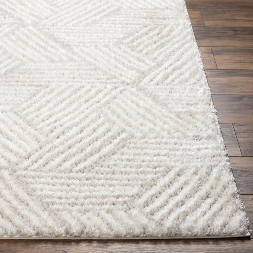 Surya Cloudy Shag CDG-2319 7'10" x 10' Rug