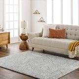 Surya Cloudy Shag CDG-2320 7'10" x 10' Rug