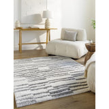 Surya Cloudy Shag CDG-2328 7'10" x 10' Rug