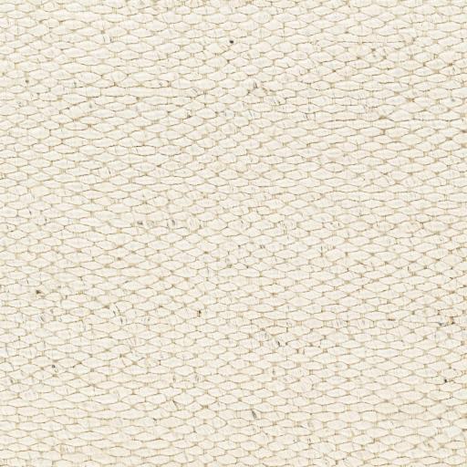 Surya Coil Bleached CBU-2300 27" x 45" Rug