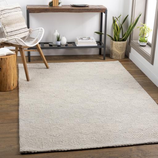 Surya Colarado CDO-2300 2' x 3' Rug