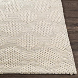 Surya Colarado CDO-2300 2' x 3' Rug