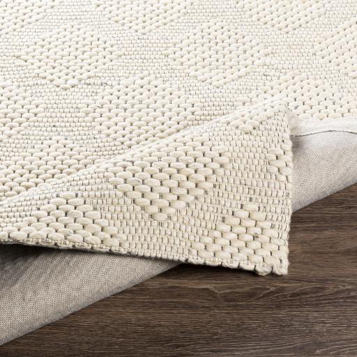 Surya Colarado CDO-2300 2' x 3' Rug