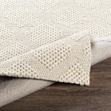 Surya Colarado CDO-2300 2' x 3' Rug